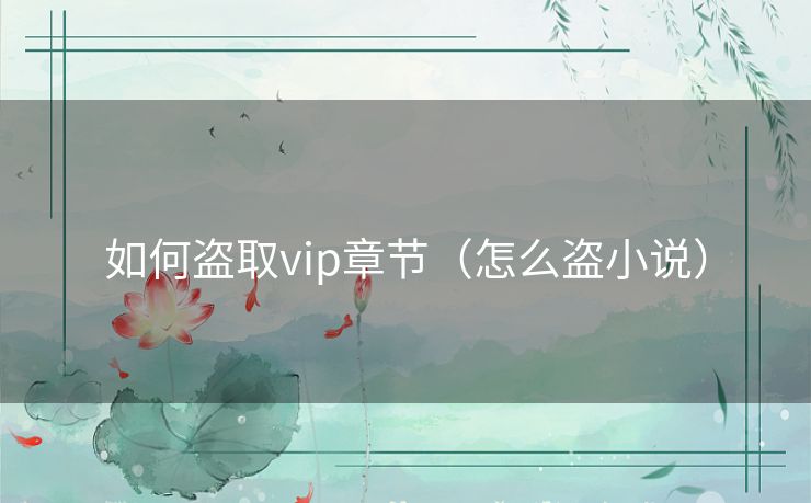 如何盗取vip章节（怎么盗小说）