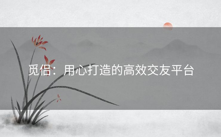 觅侣：用心打造的高效交友平台