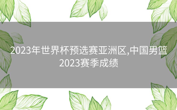 2023年世界杯预选赛亚洲区,中国男篮2023赛季成绩