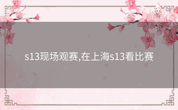 s13现场观赛,在上海s13看比赛