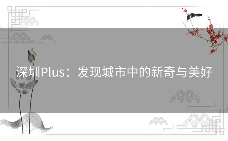深圳Plus：发现城市中的新奇与美好