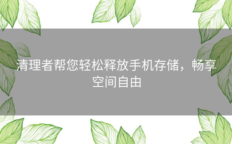 清理者帮您轻松释放手机存储，畅享空间自由