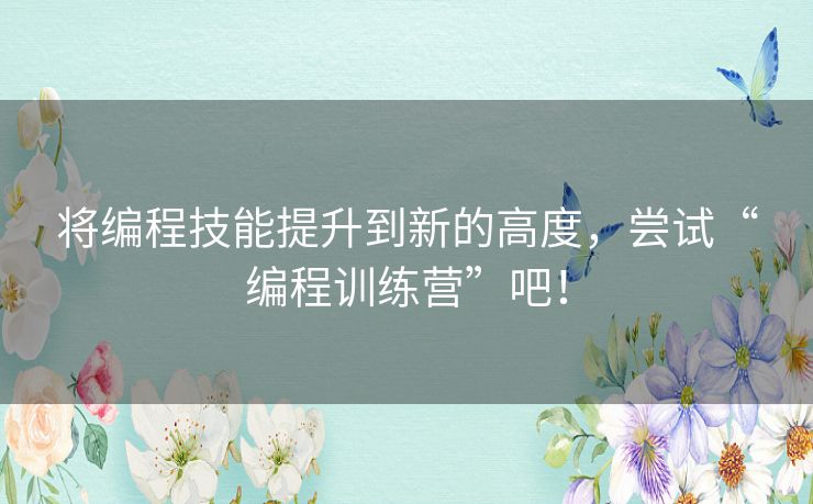将编程技能提升到新的高度，尝试“编程训练营”吧！