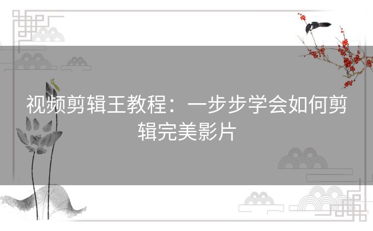视频剪辑王教程：一步步学会如何剪辑完美影片
