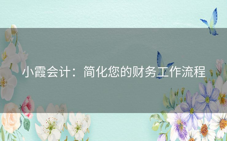 小霞会计：简化您的财务工作流程