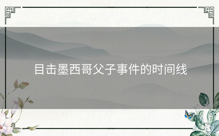 目击墨西哥父子事件的时间线