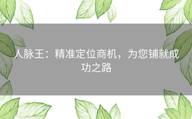 人脉王：精准定位商机，为您铺就成功之路