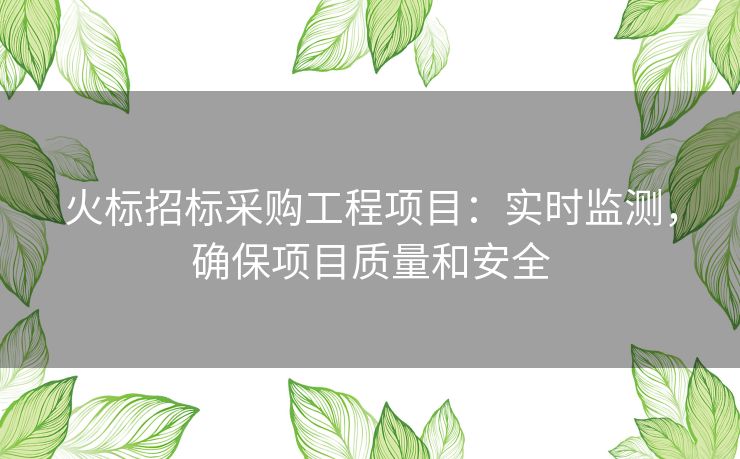 火标招标采购工程项目：实时监测，确保项目质量和安全
