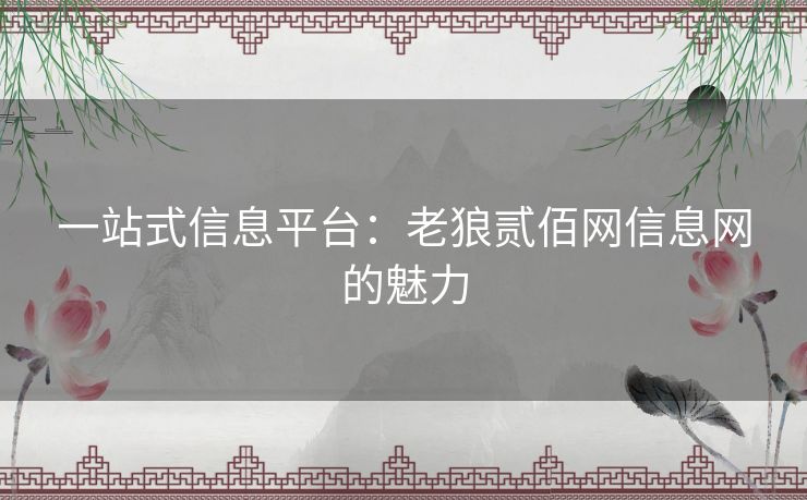 一站式信息平台：老狼贰佰网信息网的魅力