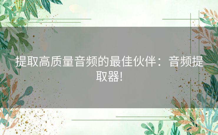 提取高质量音频的最佳伙伴：音频提取器!