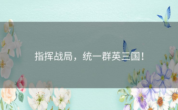 指挥战局，统一群英三国！