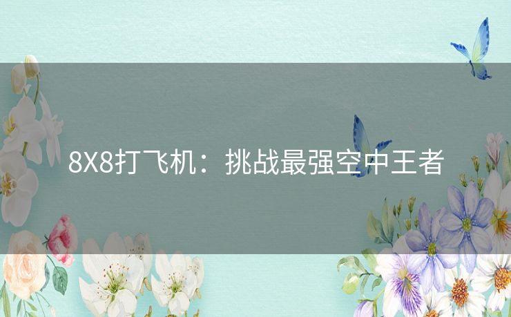 8X8打飞机：挑战最强空中王者