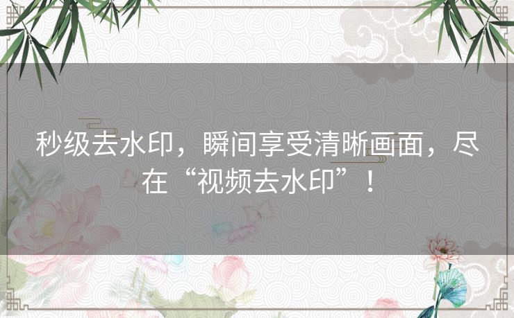 秒级去水印，瞬间享受清晰画面，尽在“视频去水印”！