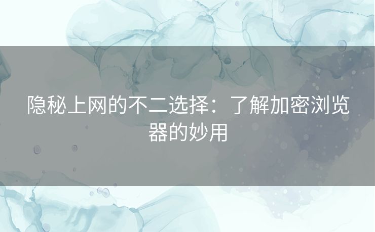 隐秘上网的不二选择：了解加密浏览器的妙用