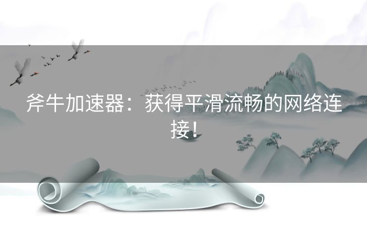 斧牛加速器：获得平滑流畅的网络连接！