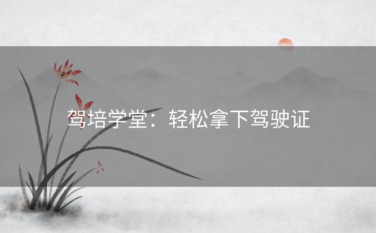 驾培学堂：轻松拿下驾驶证
