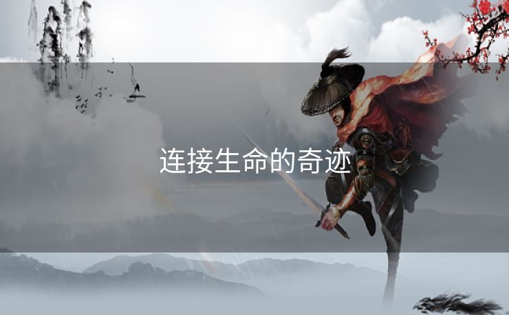 连接生命的奇迹