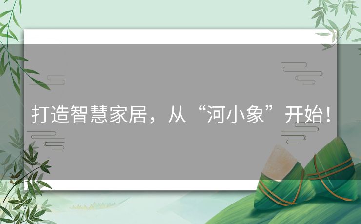 打造智慧家居，从“河小象”开始！