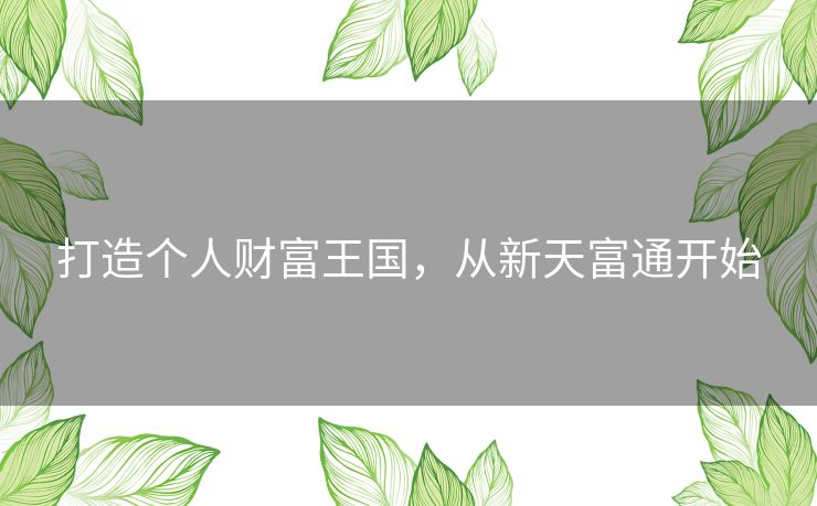 打造个人财富王国，从新天富通开始
