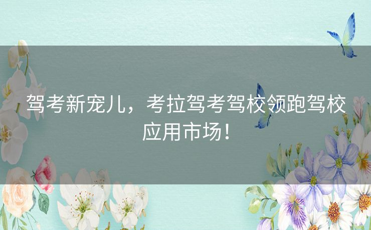 驾考新宠儿，考拉驾考驾校领跑驾校应用市场！