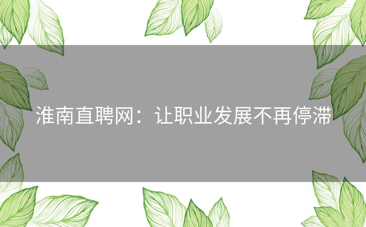 淮南直聘网：让职业发展不再停滞