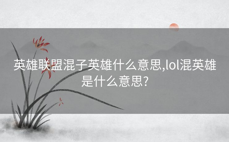 英雄联盟混子英雄什么意思,lol混英雄是什么意思?