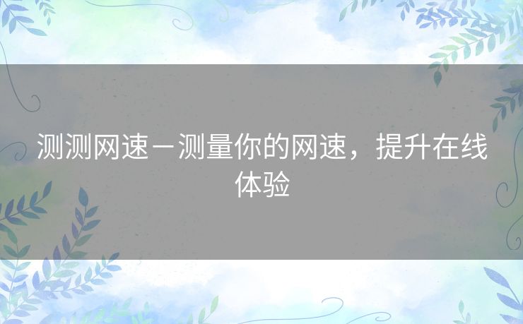 测测网速－测量你的网速，提升在线体验