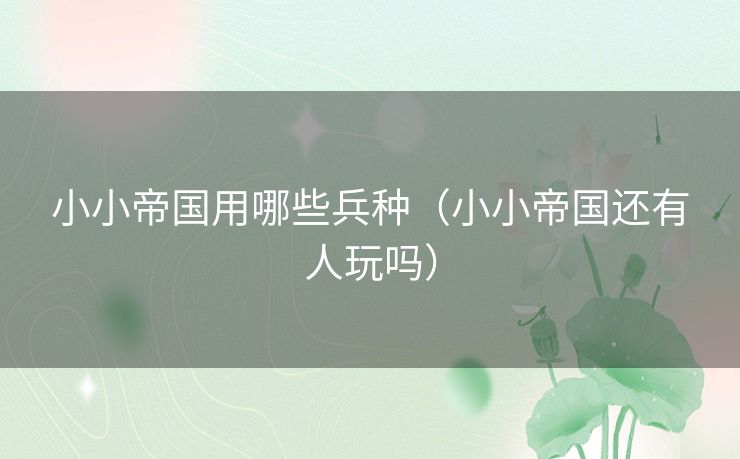小小帝国用哪些兵种（小小帝国还有人玩吗）