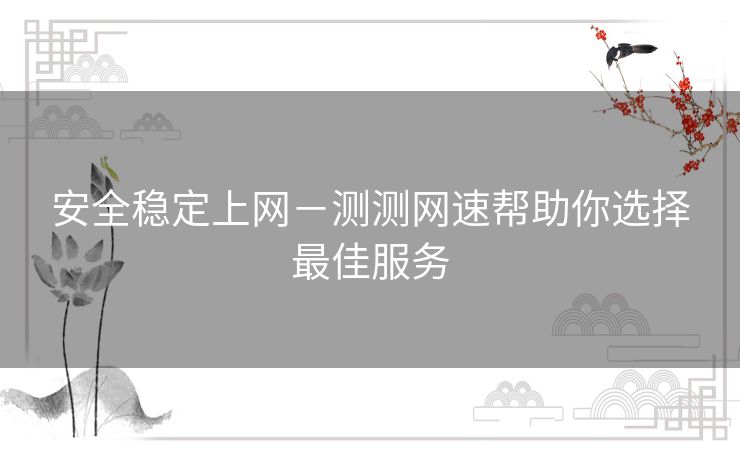 安全稳定上网－测测网速帮助你选择最佳服务