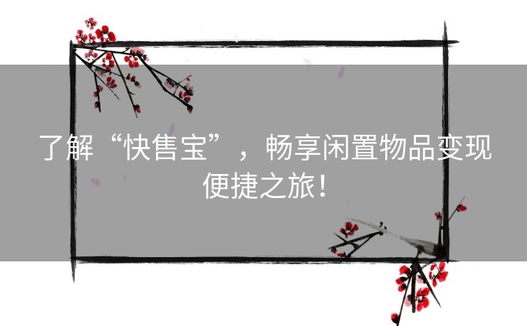 了解“快售宝”，畅享闲置物品变现便捷之旅！