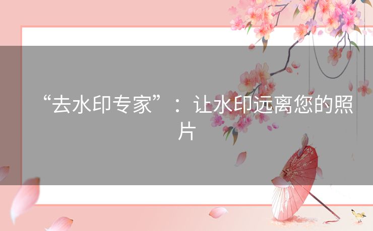 “去水印专家”：让水印远离您的照片