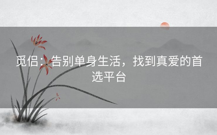觅侣：告别单身生活，找到真爱的首选平台