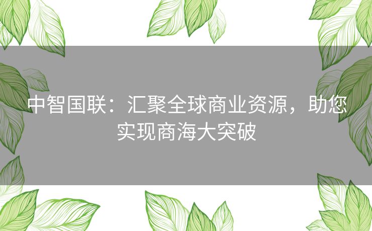 中智国联：汇聚全球商业资源，助您实现商海大突破
