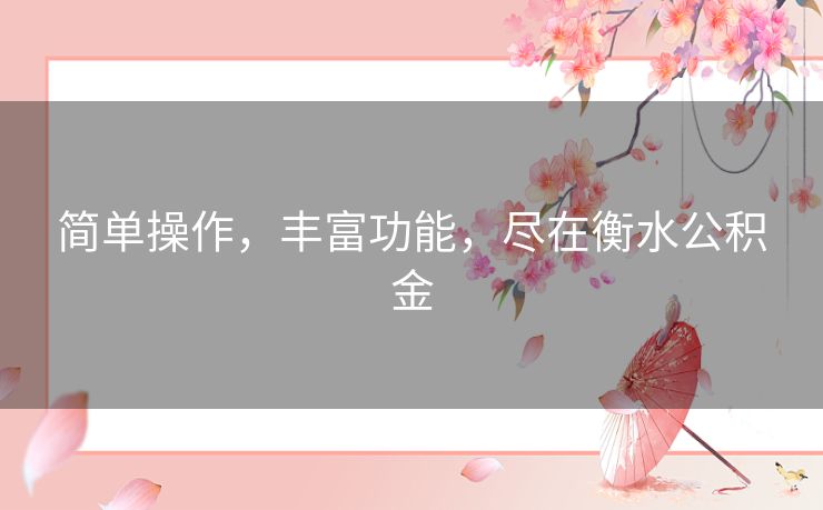 简单操作，丰富功能，尽在衡水公积金