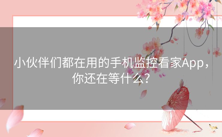 小伙伴们都在用的手机监控看家App，你还在等什么？
