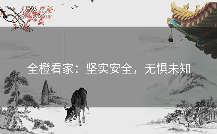 全橙看家：坚实安全，无惧未知