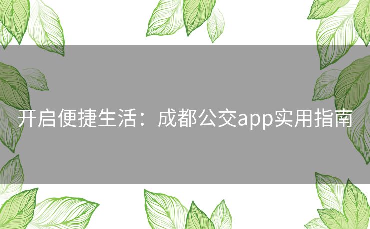 开启便捷生活：成都公交app实用指南