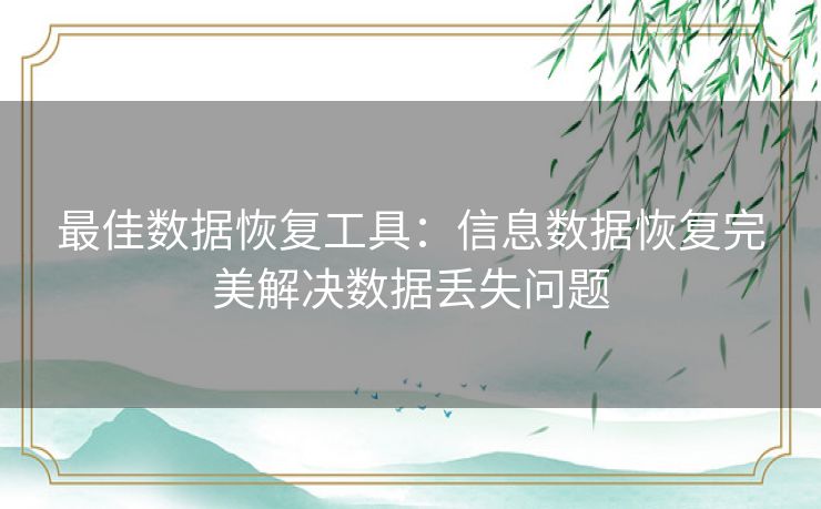 最佳数据恢复工具：信息数据恢复完美解决数据丢失问题