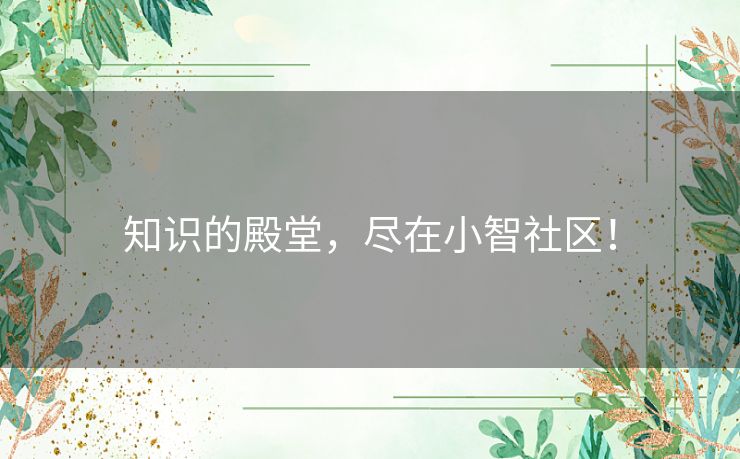 知识的殿堂，尽在小智社区！