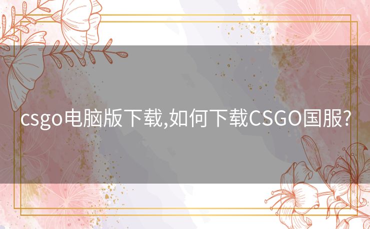 csgo电脑版下载,如何下载CSGO国服?