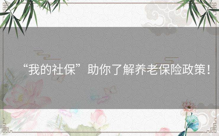 “我的社保”助你了解养老保险政策！