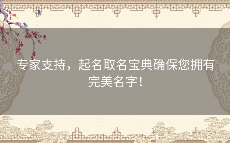 专家支持，起名取名宝典确保您拥有完美名字！