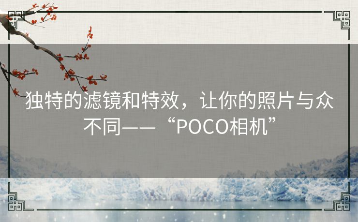 独特的滤镜和特效，让你的照片与众不同——“POCO相机”