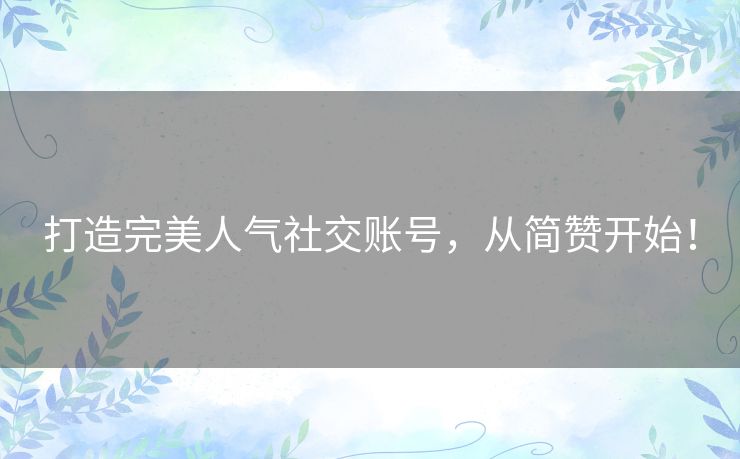 打造完美人气社交账号，从简赞开始！