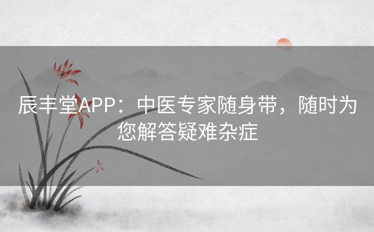 辰丰堂APP：中医专家随身带，随时为您解答疑难杂症