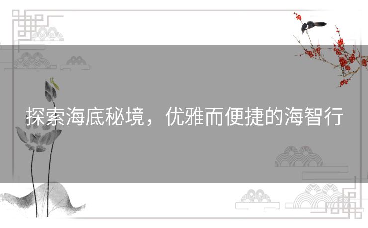 探索海底秘境，优雅而便捷的海智行