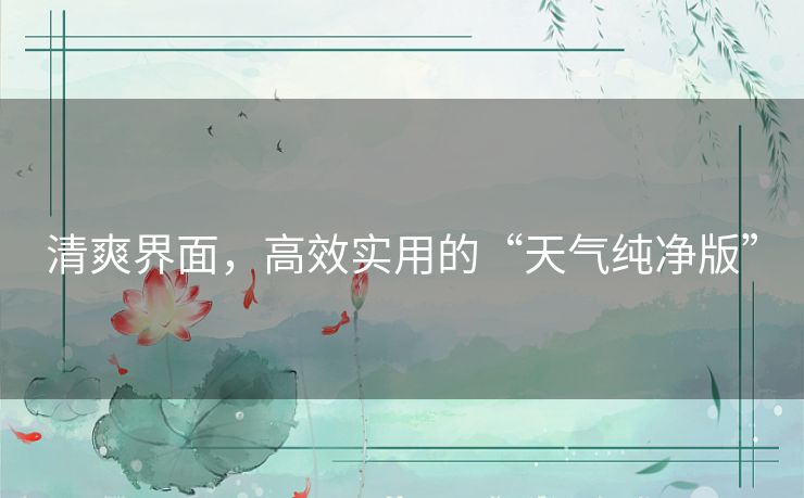 清爽界面，高效实用的“天气纯净版”