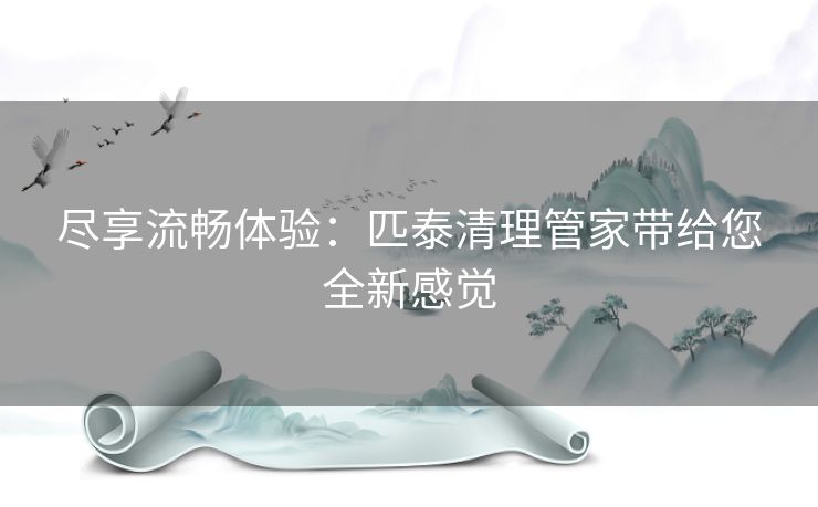 尽享流畅体验：匹泰清理管家带给您全新感觉