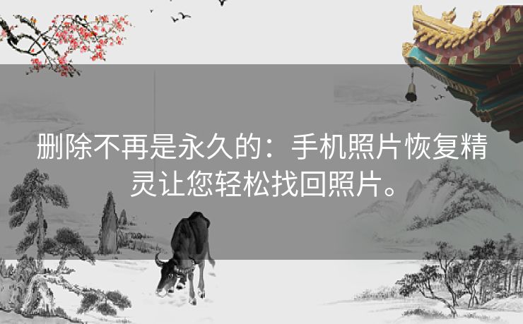 删除不再是永久的：手机照片恢复精灵让您轻松找回照片。