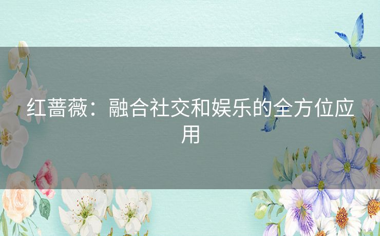 红蔷薇：融合社交和娱乐的全方位应用